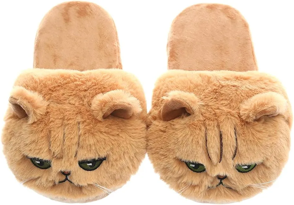 3D Kitty Slippers Womens Cat Slippers Smiley face Slippers for Girls Boys Animal House Slippers