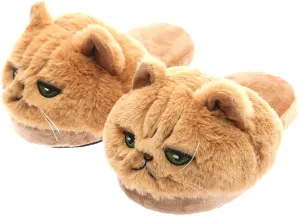 3D Kitty Slippers Womens Cat Slippers Smiley face Slippers for Girls Boys Animal House Slippers