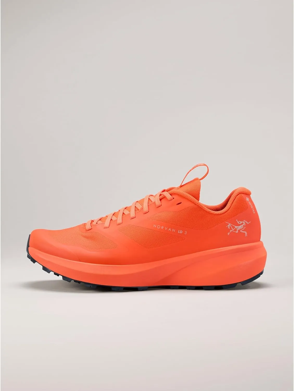 Arc'teryx Norvan LD 3 GTX Shoe Men's | Long Distance Gore-Tex Trail Running Shoe - Redesign
