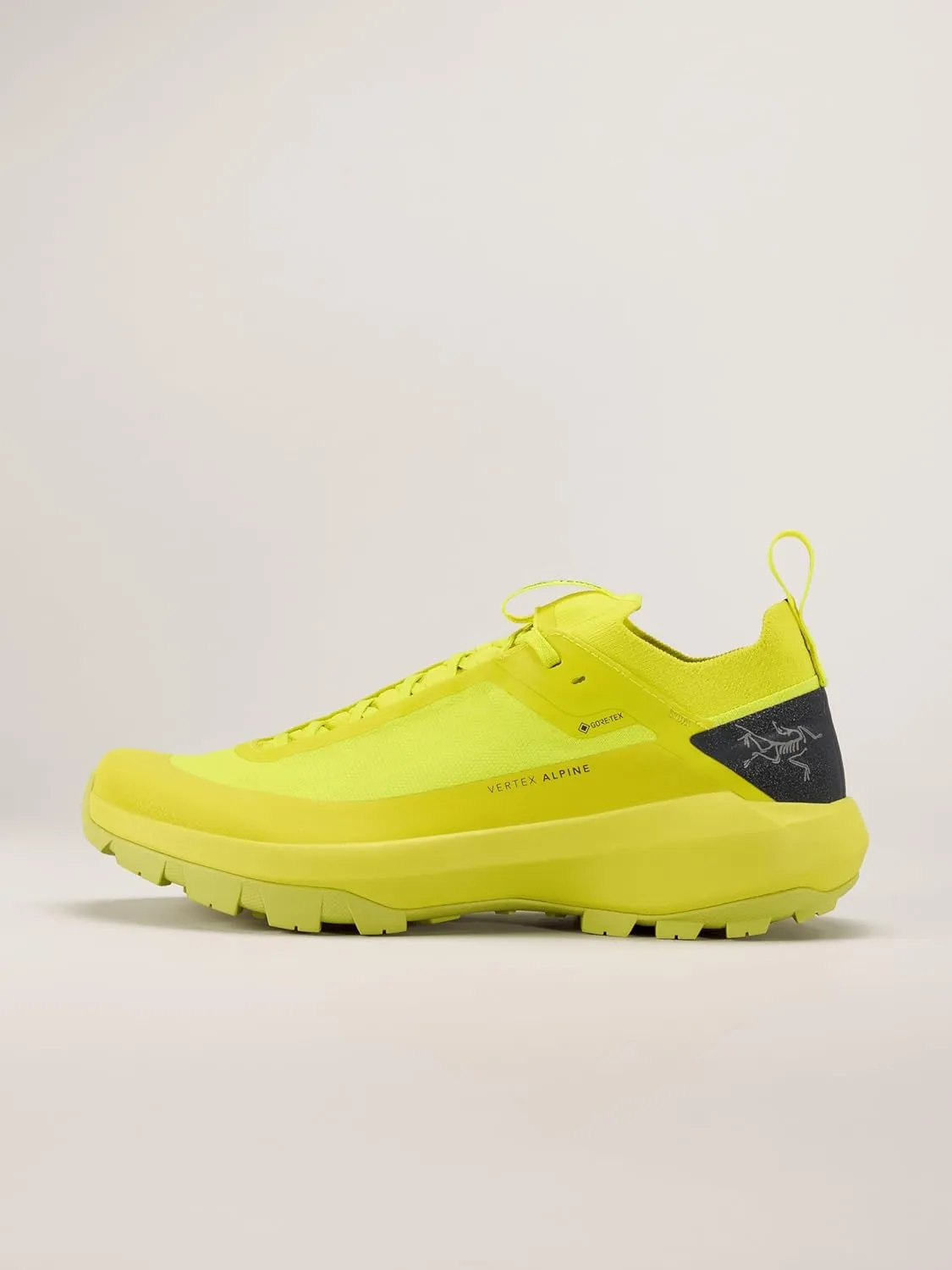 Arc'teryx Vertex Alpine GTX Shoe Men's | Fast and Light Gore-Tex Approach Shoe - Redesign