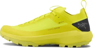 Arc'teryx Vertex Alpine GTX Shoe Men's | Fast and Light Gore-Tex Approach Shoe - Redesign