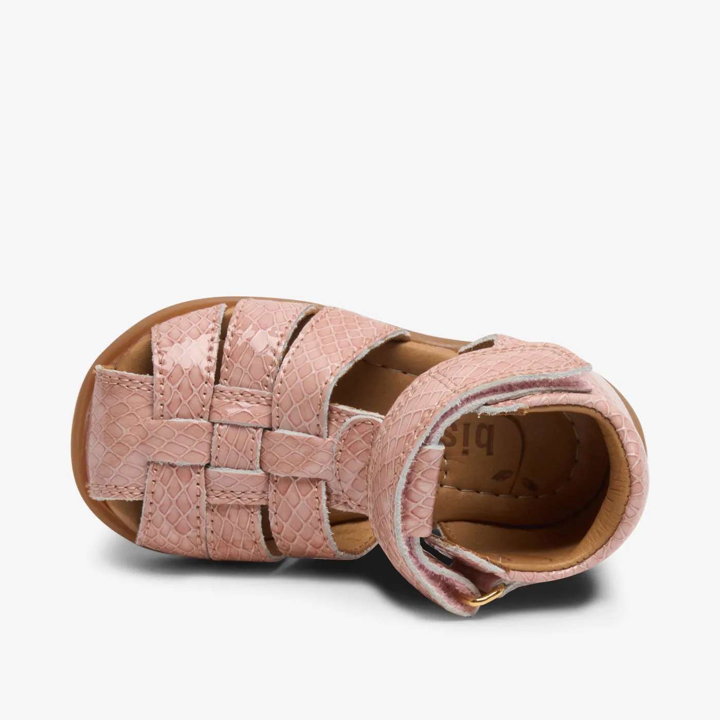 bisgaard carly rose croco