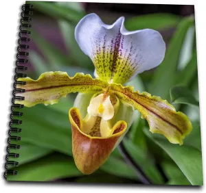 Drawing Book 8 x 8 inch - Venus Slipper Orchid Flower