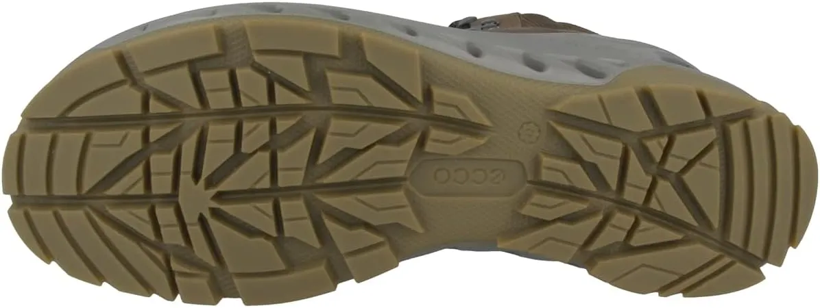 ECCO Men's Biom Venture Tr Gore-tex Hiking Shoe, 6.5 UK