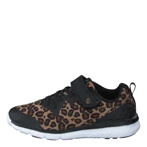 Kolima Leopard