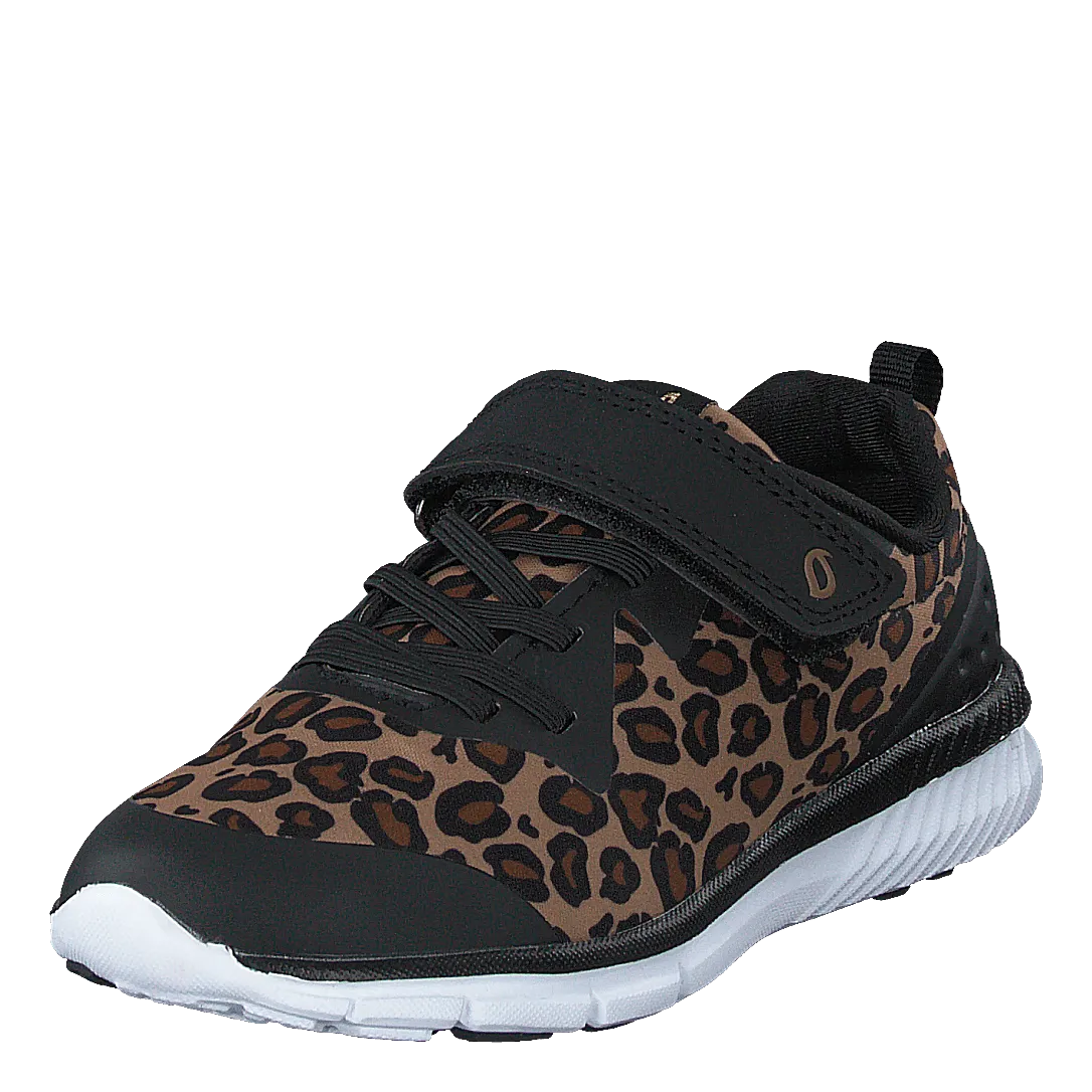 Kolima Leopard