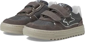 Naturino Boy's Hess 3 Vl (Toddler/Little Kid) Sneaker