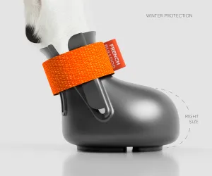 Protective Dog Shoe WINTER